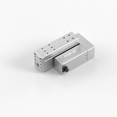RobustMotion RM-RPLA Stabile cilindro elettrico 24V Compatto attuatore elettrico Tipo di tavolo