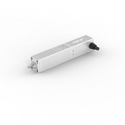 Attuatore lineare elettrico diretto ad alta precisione della serie RM-SLA di RobustMotion con servomotore, 50/100 mm di tratto, IP40