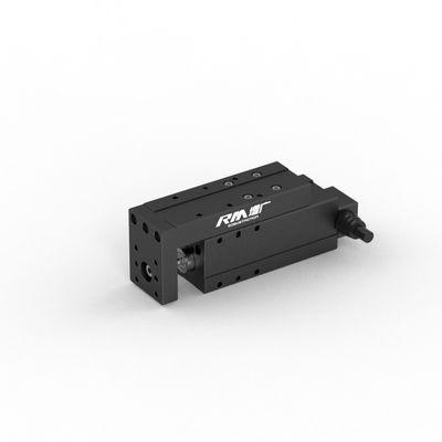 Attuatore lineare di tipo micro piattaforma RM-NPLA, servo cilindro elettrico per tirare, spingere e premere