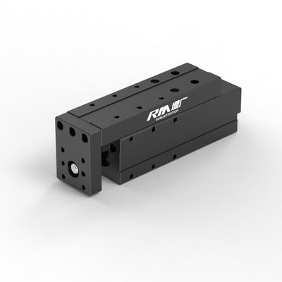 Attuatore lineare elettrico RM-NPLA, Attuatore lineare di tipo micro piattaforma, ad alta velocità e costante