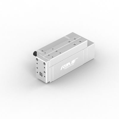 Attuatore lineare industriale elettrico RobustMotion RM-RPLA con regolatore integrato, forza massima di uscita 300N
