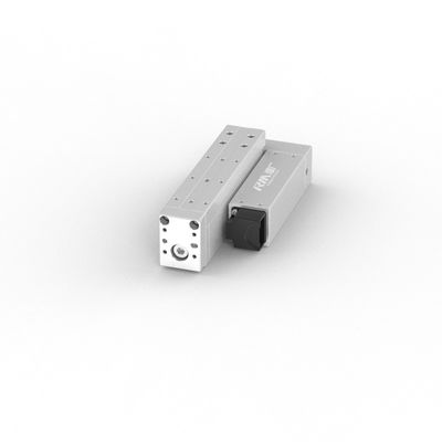 Attuatore lineare a alta velocità RobustMotion Industrial Alta precisione ± 0,02 mm per spingere e tirare