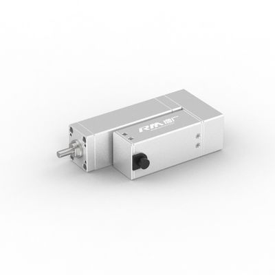 RobustMotion RM-RLA cilindro elettrico, attuatore lineare ad alta velocità, protezione contro l'acqua IP40, compatibilità 12VDC