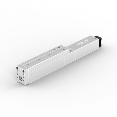 Attuatore lineare di tipo piattaforma retta RobustMotion RM-PLA, cilindro elettrico ad alta precisione di ripetizione