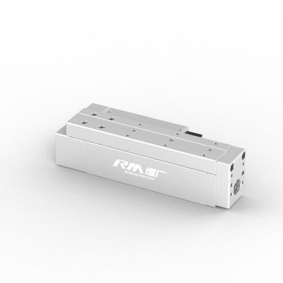 RobustMotion Single Axis Electric Linear Cylinder, RM-RPLA a lungo tratto, ad alta velocità e ad alta precisione