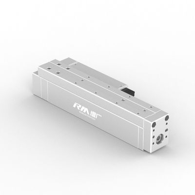 RobustMotion Attuatore lineare ad alto carico adattabile per la spinta Automatizzazione industriale RM-RPLA
